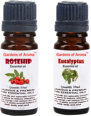 

Gardens Of Aroma Rosehip And Eucalyptus(20 ml)