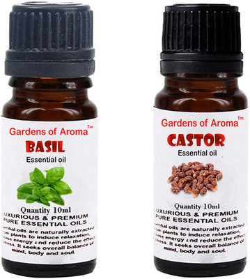 

Gardens Of Aroma Basil And Castor(20 ml)