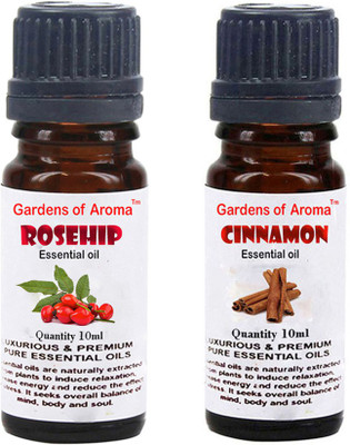 

Gardens Of Aroma Rosehip And Cinnamon(20 ml)