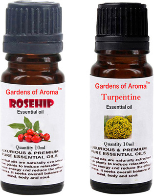 

Gardens Of Aroma Rosehip And Turpentine(20 ml)