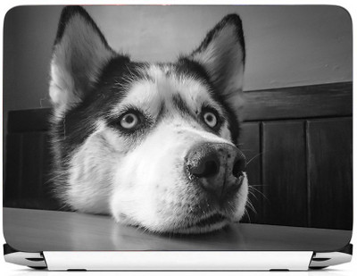 

PRINTHUBS Laptop Protector Vinyl Laptop Decal 15.6 _LS-69 Vinyl Laptop Decal 15.6