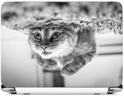

PRINTHUBS Laptop Protector Vinyl Laptop Decal 15.6 _LS-67 Vinyl Laptop Decal 15.6