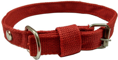 

Tradesk Dog Everyday Collar(, Red