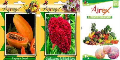 

Airex papaya and Cockscomb Tall Red (Summer) Seed + Humic Acid Fertilizer (For Growth of All Plant and Better Responce) 15 gm Humic Acid + Pack Of 45 Seed Per PacketPacket) Seed(90 per packet)