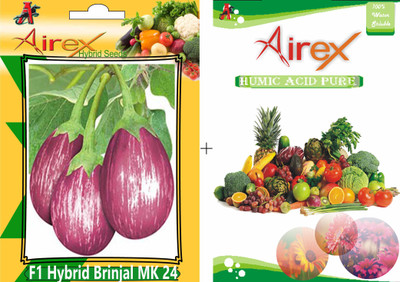 Airex F1 Hybrid Brinjal MK 24 Seed + Humic Acid Fertilizer (For Growth of All Plant and Better Responce) 15 gm Humic Acid + Pack Of 35 Seed Per Packet Seed(35 per packet) Airex F1 Hybrid Brinjal MK 24 Seed + Humic Acid Fertilizer (For Growth of All Plant and Better Responce) 15 gm Humic Acid + Pack Of 35 Seed Per Packet Seed(35 per packet)
