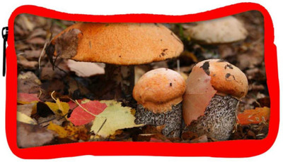 

Snoogg Eco Friendly Canvas Orange Mushroom Designer Student Pen Pencil Case Coin Purse Pouch Cosmetic Makeup Bag (RED) Pouch(Multicolor)
