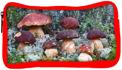 

Snoogg Eco Friendly Canvas Dark Red Mushroom Designer Student Pen Pencil Case Coin Purse Pouch Cosmetic Makeup Bag (RED) Pouch(Multicolor)