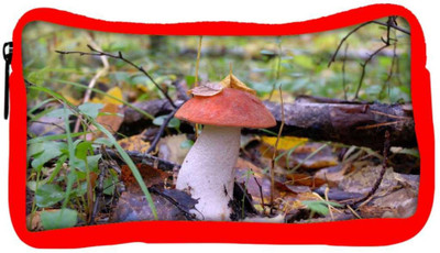 

Snoogg Eco Friendly Canvas Red Mushroom Designer Student Pen Pencil Case Coin Purse Pouch Cosmetic Makeup Bag (RED) Pouch(Multicolor)
