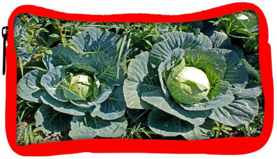 

Snoogg Eco Friendly Canvas Cabbage In Garden Student Pen Pencil Case Coin Purse Pouch Cosmetic Makeup Bag (RED) Pouch(Multicolor)