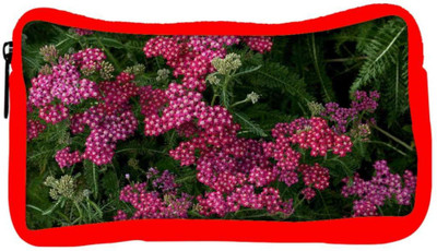 

Snoogg Eco Friendly Canvas Red And Green Flowers Designer Student Pen Pencil Case Coin Purse Pouch Cosmetic Makeup Bag (RED) Pouch(Multicolor)