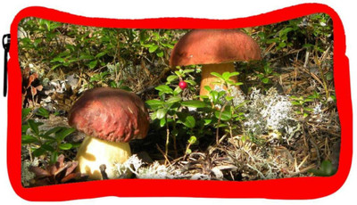 

Snoogg Eco Friendly Canvas Yellow Stem Mushroom Designer Student Pen Pencil Case Coin Purse Pouch Cosmetic Makeup Bag (RED) Pouch(Multicolor)