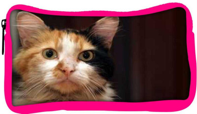 

Snoogg Eco Friendly Canvas Cute Kitty Designer Student Pen Pencil Case Coin Purse Pouch Cosmetic Makeup Bag (PINK) Pouch(Multicolor)