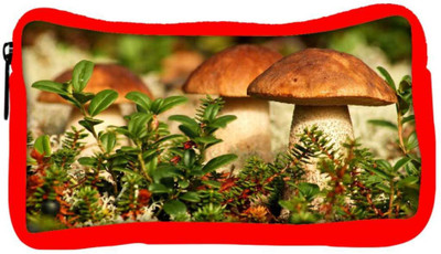 

Snoogg Eco Friendly Canvas Mushroom In Garden Designer Student Pen Pencil Case Coin Purse Pouch Cosmetic Makeup Bag (RED) Pouch(Multicolor)