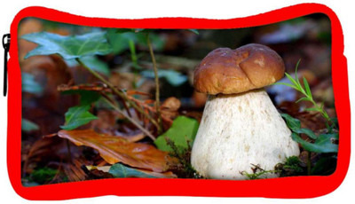 

Snoogg Eco Friendly Canvas White Mushroom Designer Student Pen Pencil Case Coin Purse Pouch Cosmetic Makeup Bag (RED) Pouch(Multicolor)