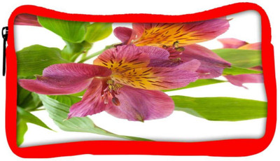 

Snoogg Eco Friendly Canvas Alstroemeria Flowers Student Pen Pencil Case Coin Purse Pouch Cosmetic Makeup Bag (RED) Pouch(Multicolor)