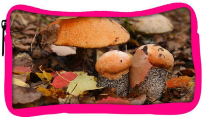 

Snoogg Eco Friendly Canvas Orange Mushroom Designer Student Pen Pencil Case Coin Purse Pouch Cosmetic Makeup Bag (PINK) Pouch(Multicolor)