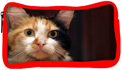 

Snoogg Eco Friendly Canvas Cute Kitty Designer Student Pen Pencil Case Coin Purse Pouch Cosmetic Makeup Bag (RED) Pouch(Multicolor)