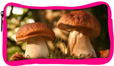

Snoogg Eco Friendly Canvas Abstract Mushroom Designer Student Pen Pencil Case Coin Purse Pouch Cosmetic Makeup Bag (PINK) Pouch(Multicolor)