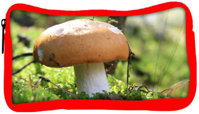 

Snoogg Eco Friendly Canvas Yummy Mushroom Designer Student Pen Pencil Case Coin Purse Pouch Cosmetic Makeup Bag (RED) Pouch(Multicolor)