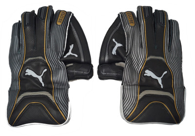 

Puma Evo SE Wicket Keeping Gloves Wicket Keeping Gloves (Men, Multicolor), Black/golden