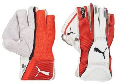 

Puma Evo 2 Wicket Keeping Gloves Wicket Keeping Gloves (Men, Multicolor)