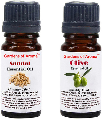 

Gardens Of Aroma Sandal And Olive(20 ml)