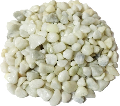 

DS Creations White stone 475g Gravel Unplanted Substrate(White)