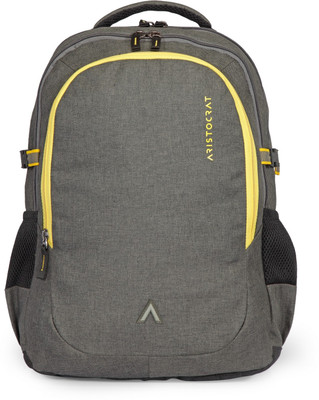 

Aristocrat Grid 1 34 L Laptop Backpack(Grey)