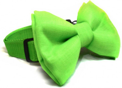 

That Dog In Tuxedo Bow, Bow Tie for Dog(Green
