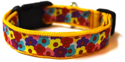 

That Dog In Tuxedo Floral Affair Dog Everyday Collar(, multicolor