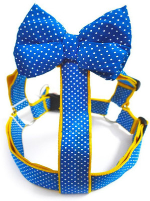 

That Dog In Tuxedo Gold Spot Dog Buckle Harness(, blue
