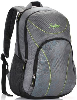 

Skybags LPBPFLX1GRY 25 L Backpack(Grey)