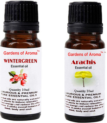

Gardens Of Aroma Wintergreen And Arachis(20 ml)