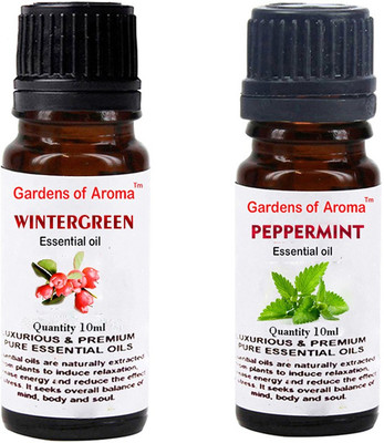 

Gardens Of Aroma Wintergreen And Peppermint(20 ml)