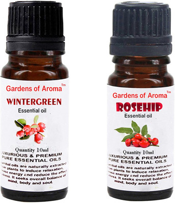 

Gardens Of Aroma Wintergreen And Rosehip(20 ml)
