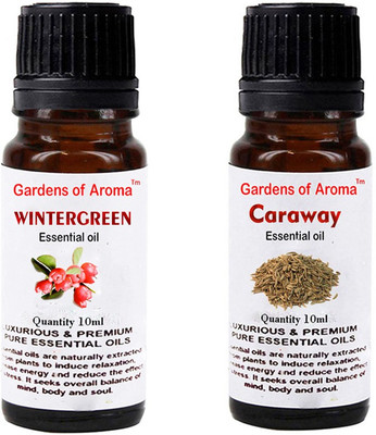 

Gardens Of Aroma Wintergreen And Caraway(20 ml)