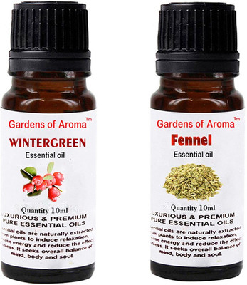 

Gardens Of Aroma Wintergreen And Fennel(20 ml)