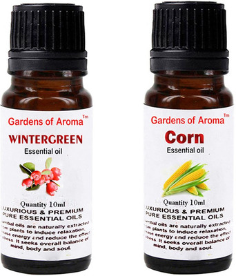 

Gardens Of Aroma Wintergreen And Corn(20 ml)