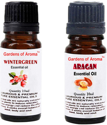 

Gardens Of Aroma Wintergreen And Argan(20 ml)