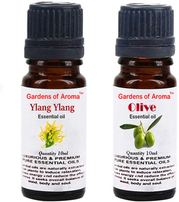 

Gardens Of Aroma Ylang Ylang And Olive(20 ml)