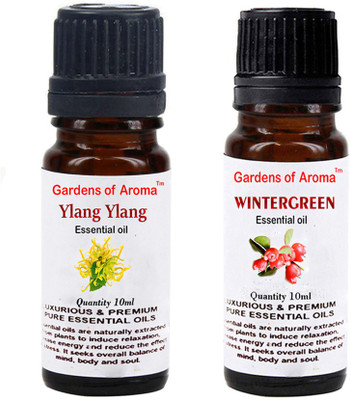 

Gardens Of Aroma Ylang Ylang And Wintergreen(20 ml)