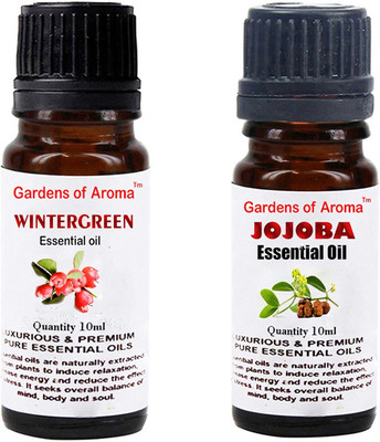 

Gardens Of Aroma Wintergreen And Jojoba(20 ml)
