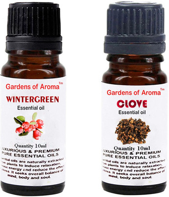 

Gardens Of Aroma Wintergreen And Clove(20 ml)