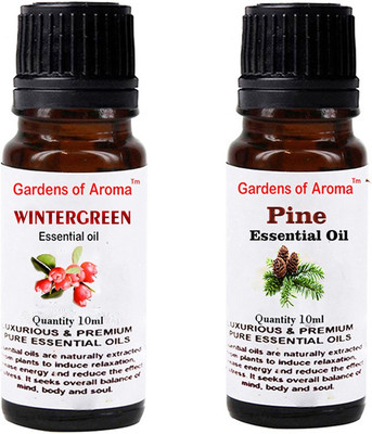 

Gardens Of Aroma Wintergreen And Pine(20 ml)