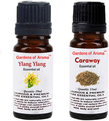 

Gardens Of Aroma Ylang Ylang And Caraway(20 ml)