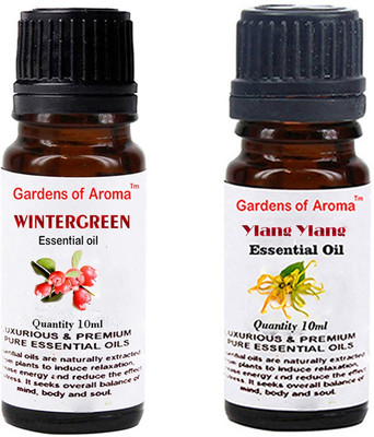 

Gardens Of Aroma Wintergreen And Ylang Ylang(20 ml)