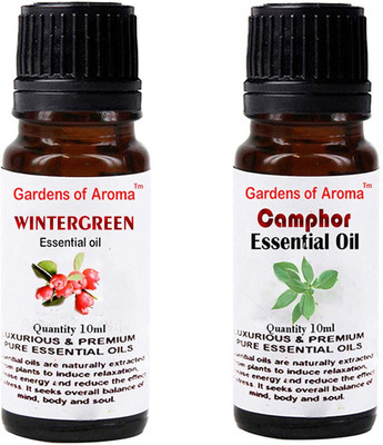 

Gardens Of Aroma Wintergreen And Camphor(20 ml)
