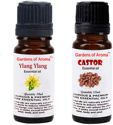 

Gardens Of Aroma Ylang Ylang And Castor(20 ml)