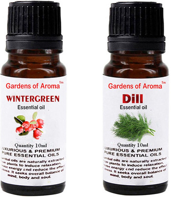 

Gardens Of Aroma Wintergreen And Dill(20 ml)