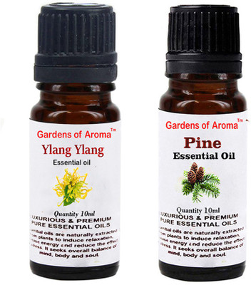 

Gardens Of Aroma Ylang Ylang And Pine(20 ml)